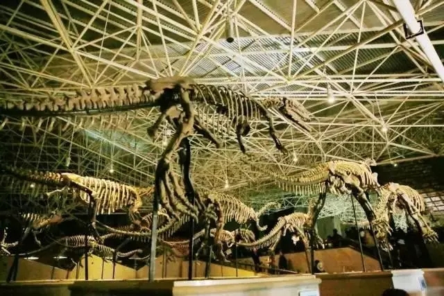 图片19.jpg 图片19.jpg