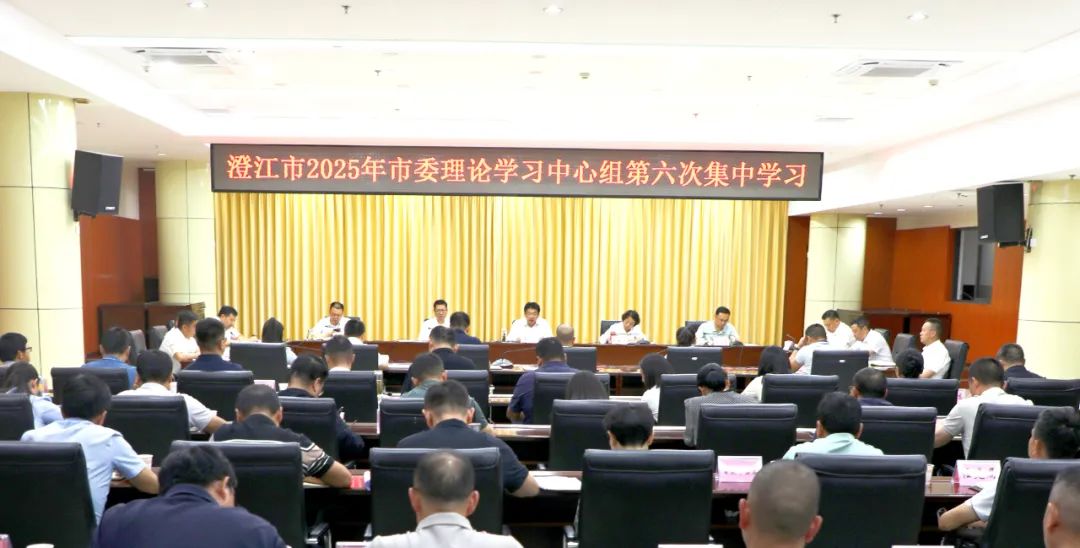 澄江市委理论学习中心组举行2025年第六次集中学习