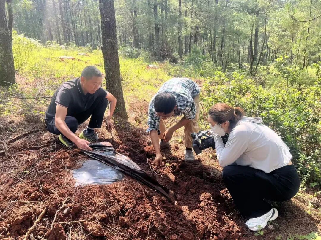 640 (7).jpeg 640 (7).jpeg