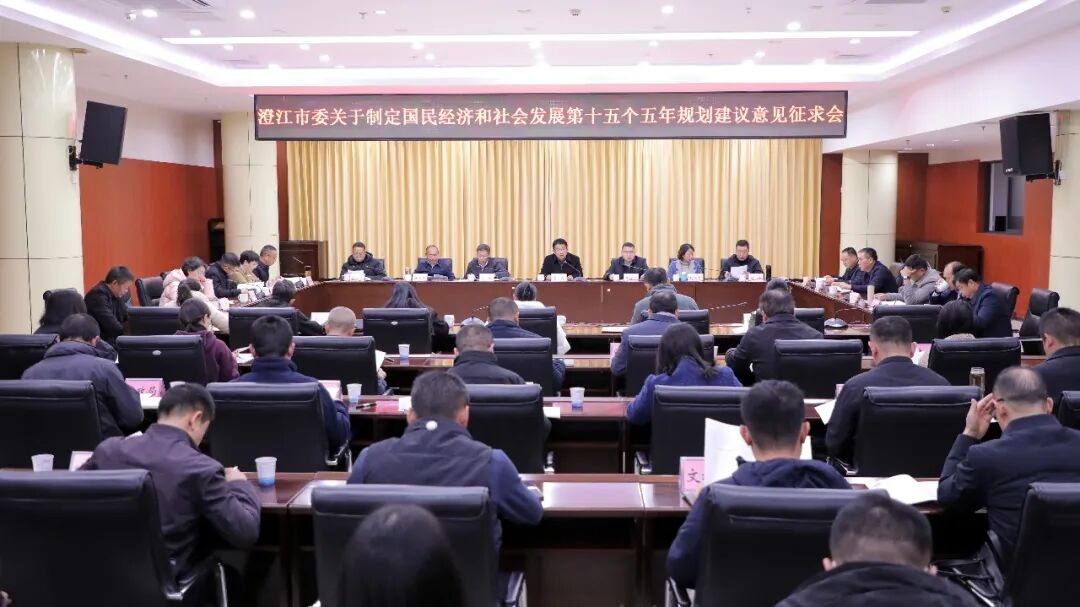 市委书记常成主持召开座谈会 就澄江市“十五五”规划建议广泛征求各界代表意见