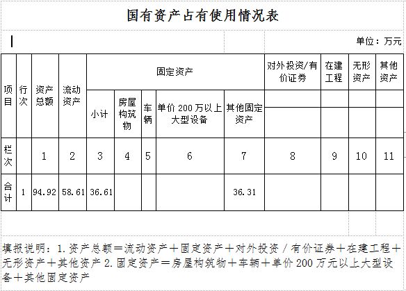 国有资产情况表.jpg