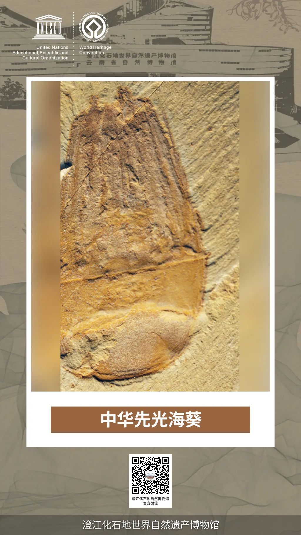 微信图片_20240329144848.jpg
