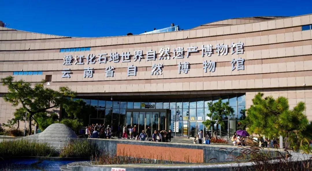 8月17日13:27,cctv-10将揭秘澄江古生物奥秘的故事