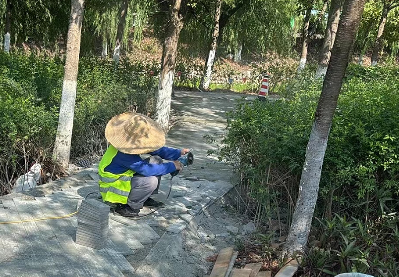 图片 3.png 图片 3.png