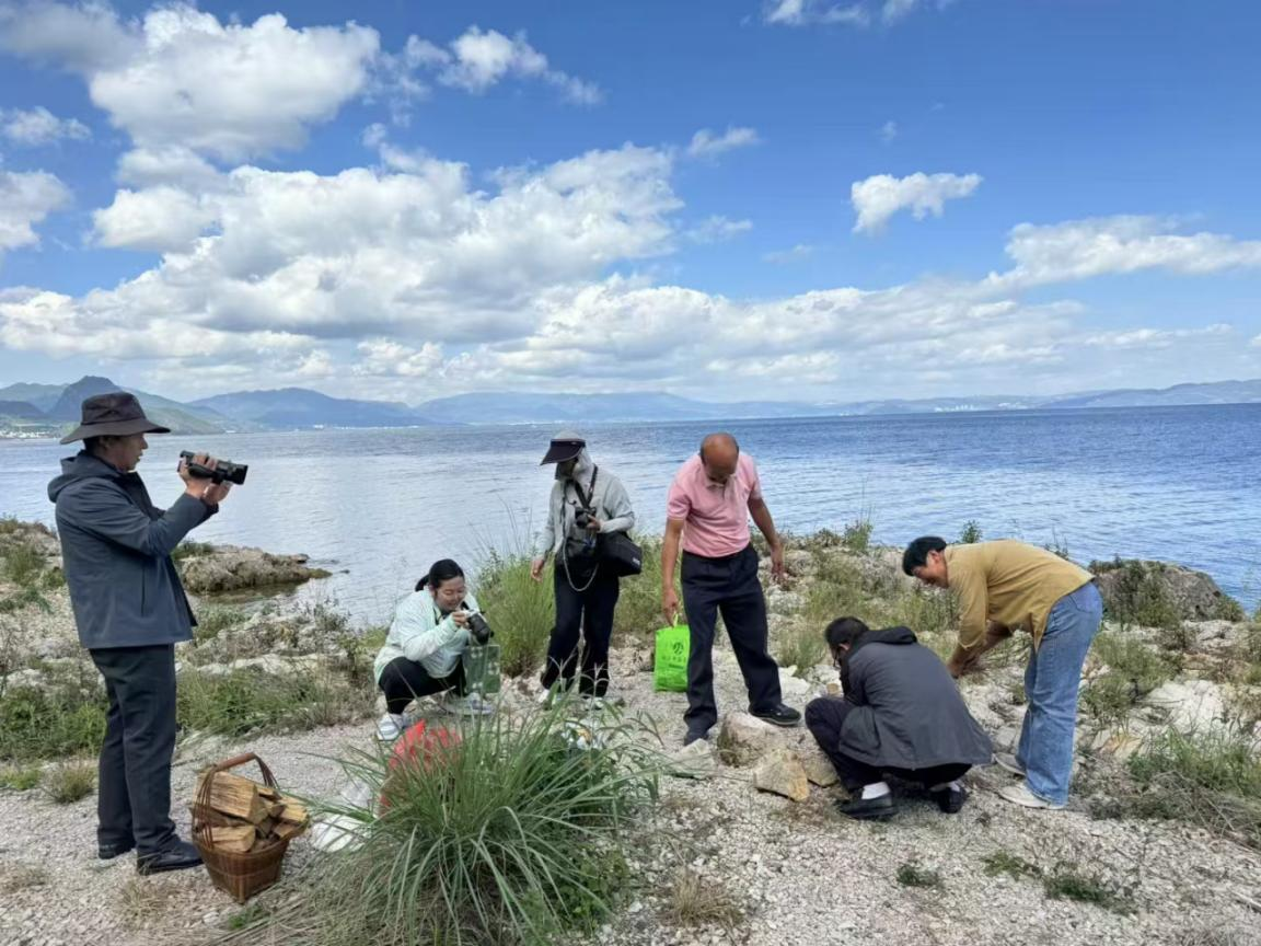 图片1.png 图片1.png