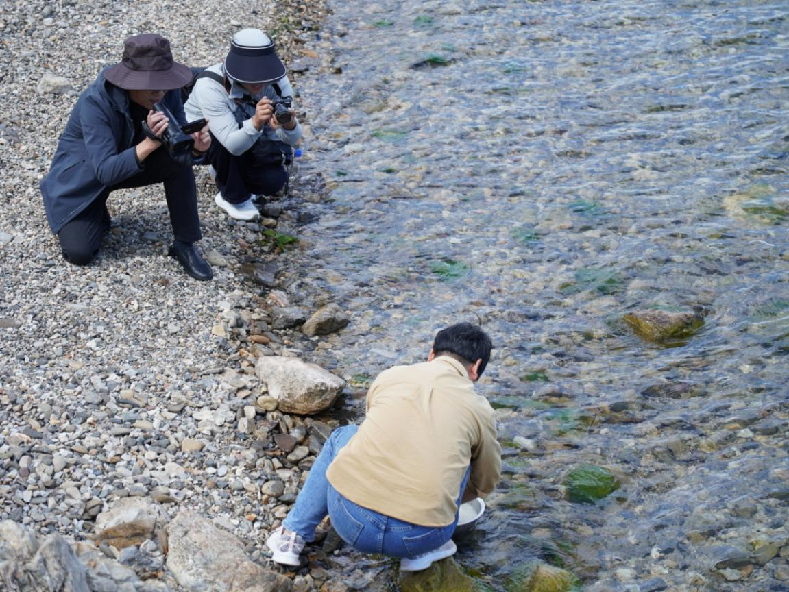 图片1.png 图片1.png