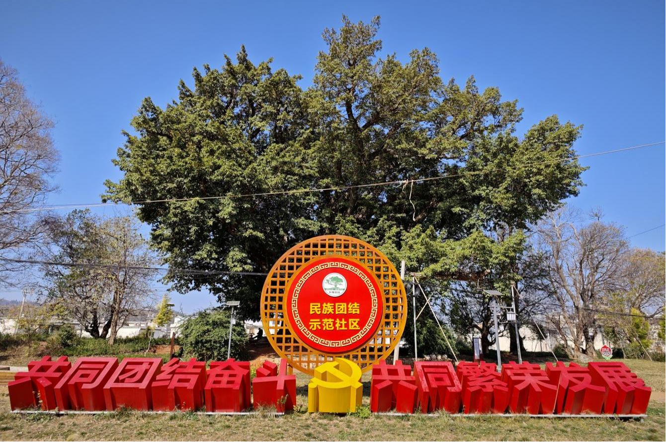 图片2.png 图片2.png