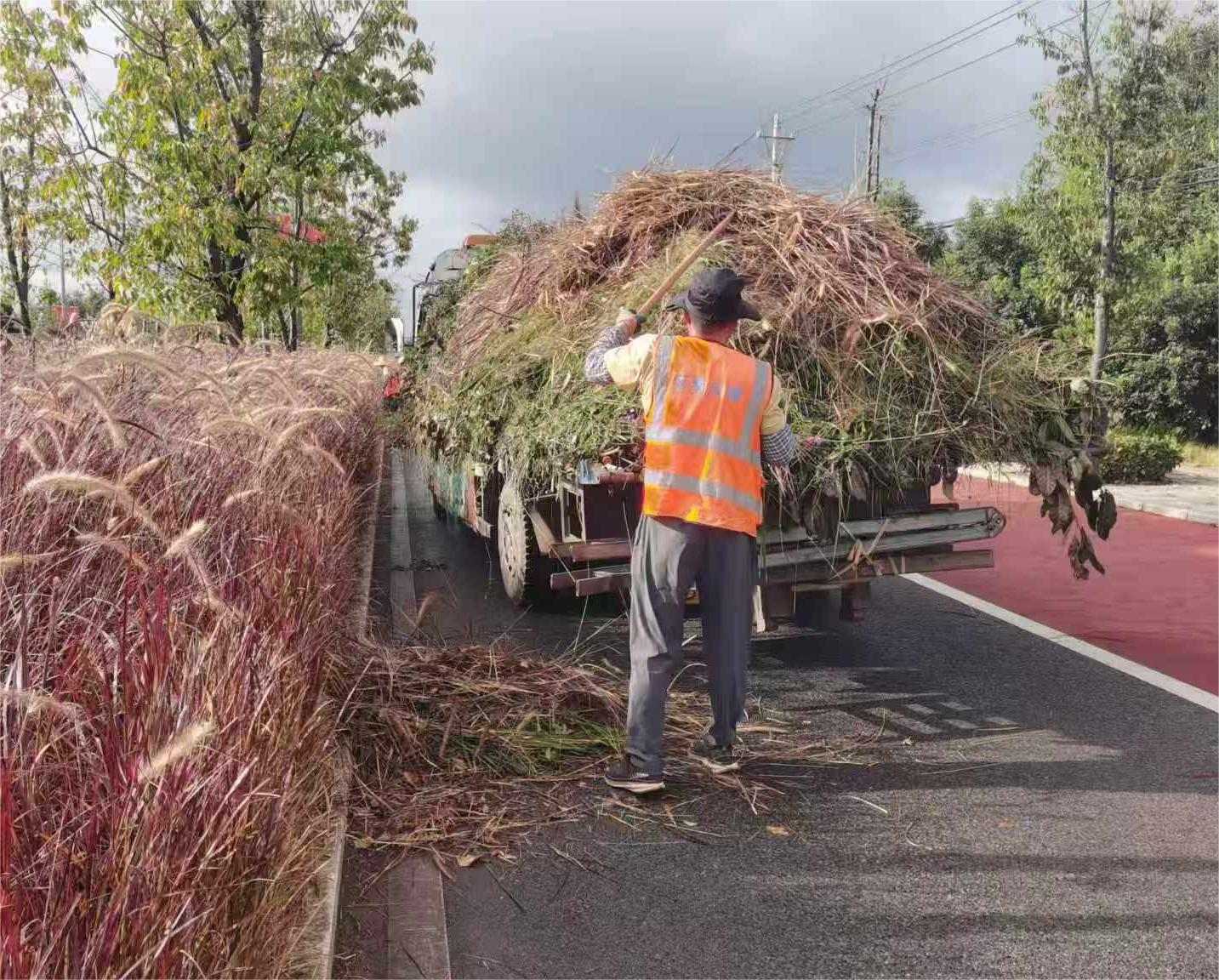 图片 1.png 图片 1.png