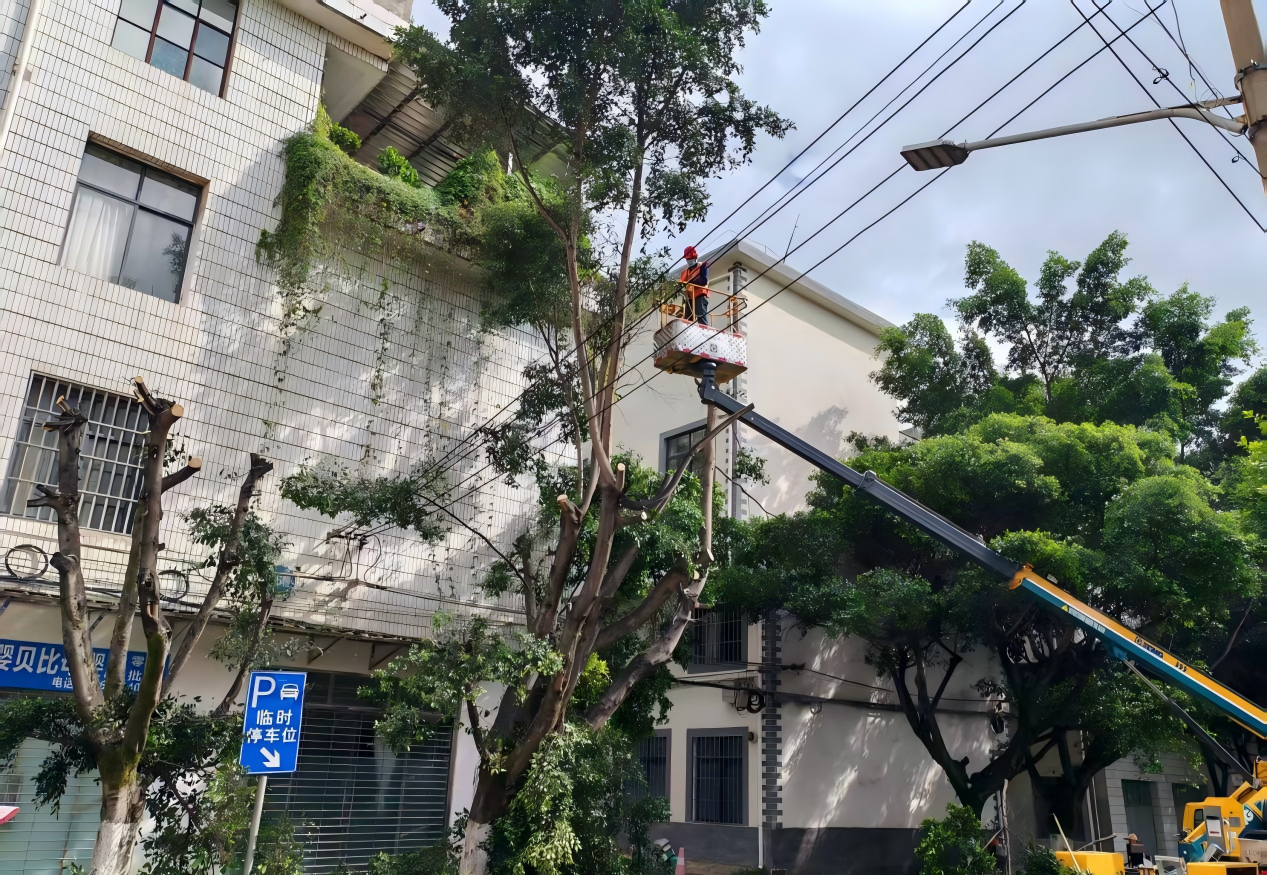 图片 1.png 图片 1.png